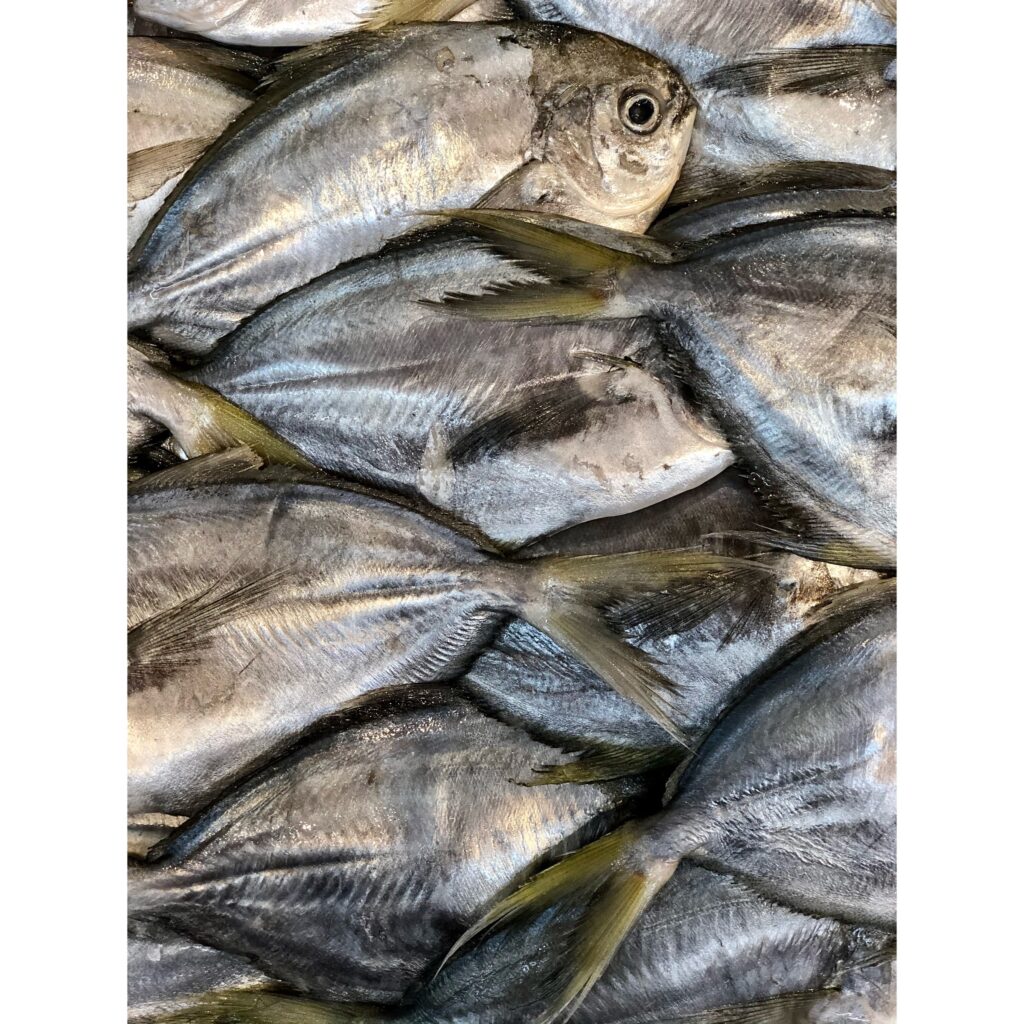 Pescados